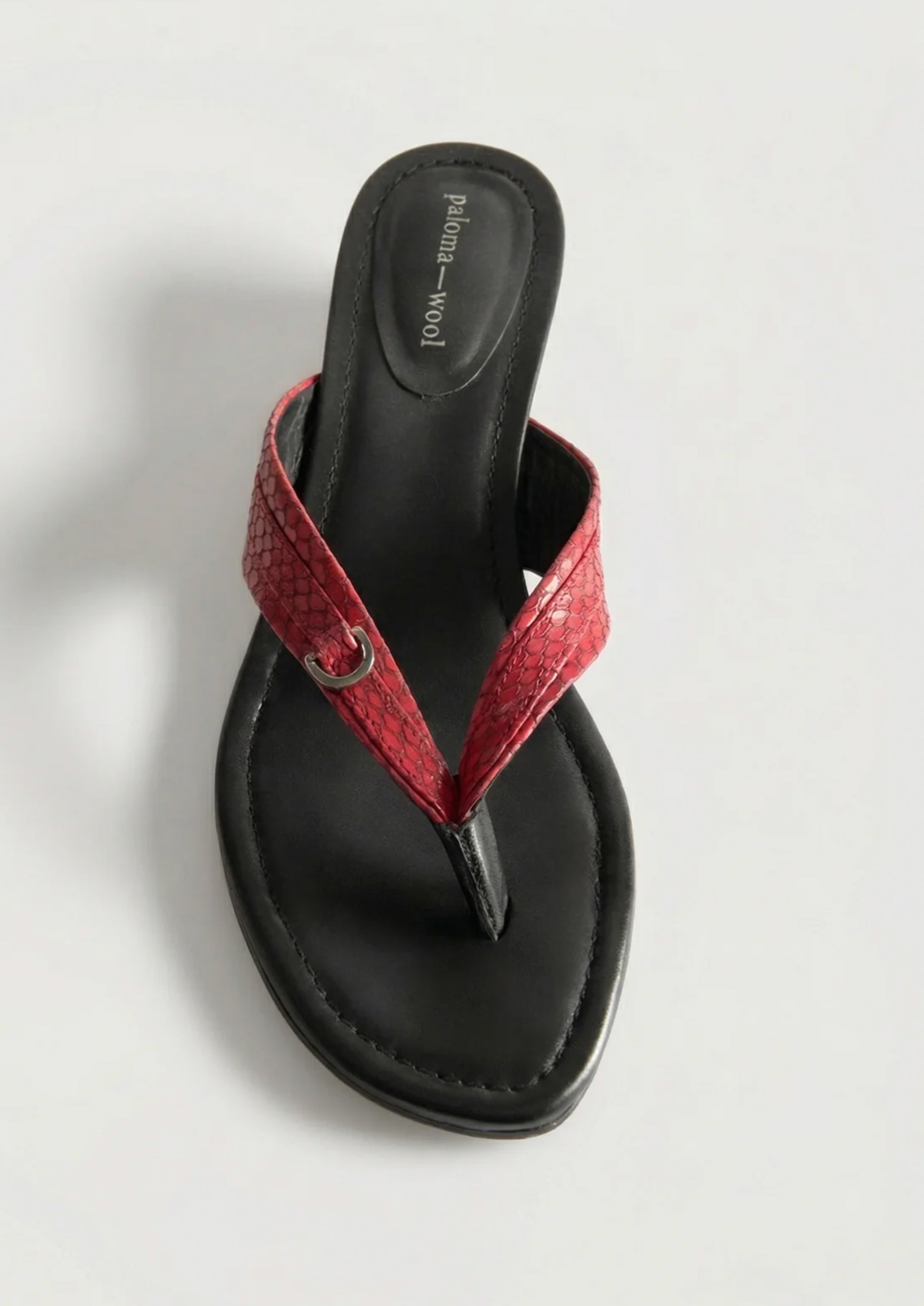 PALOMA WOOL - FELIPA RED – SOLAR MTP
