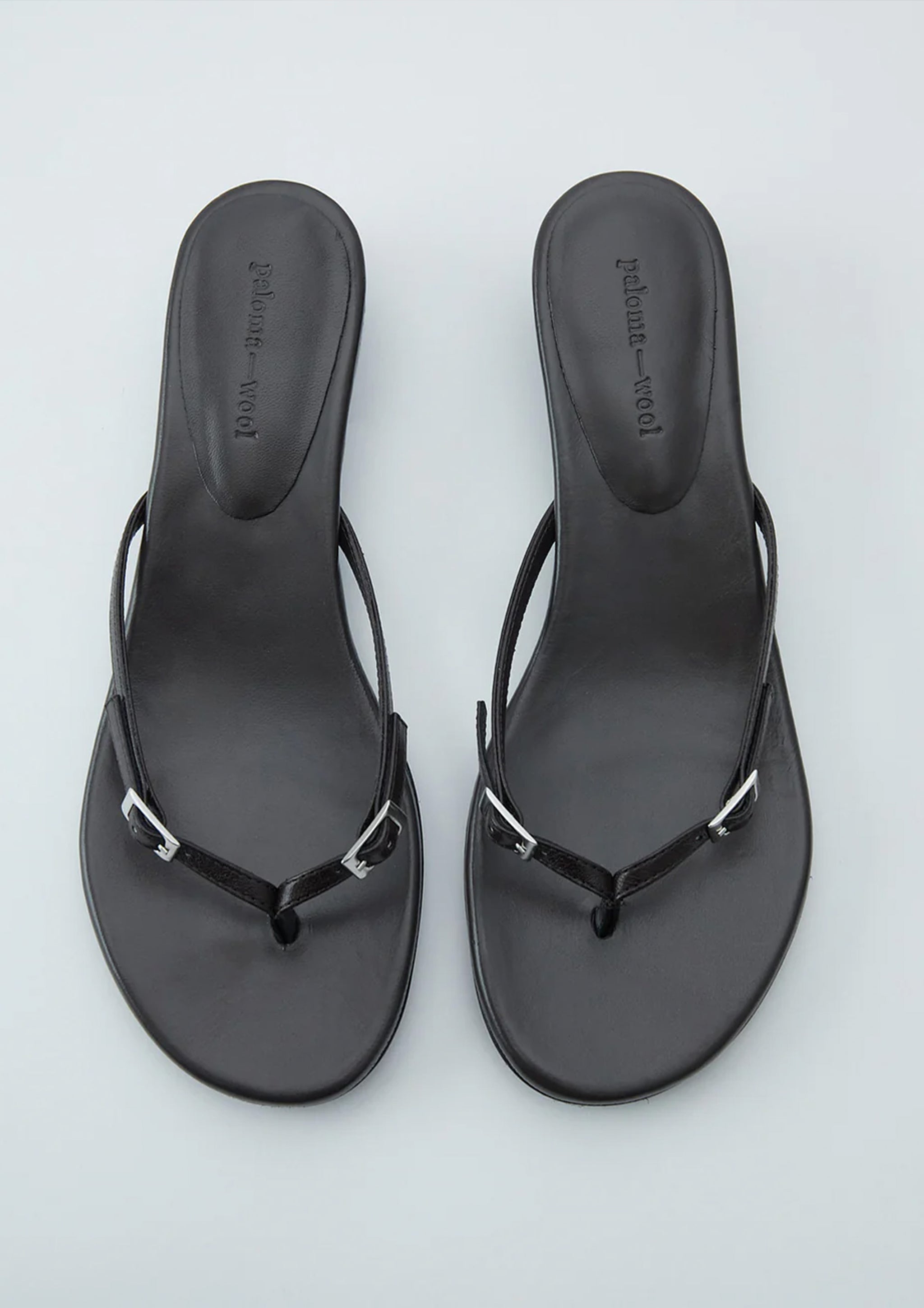 PALOMA WOOL – SOLAR MTP