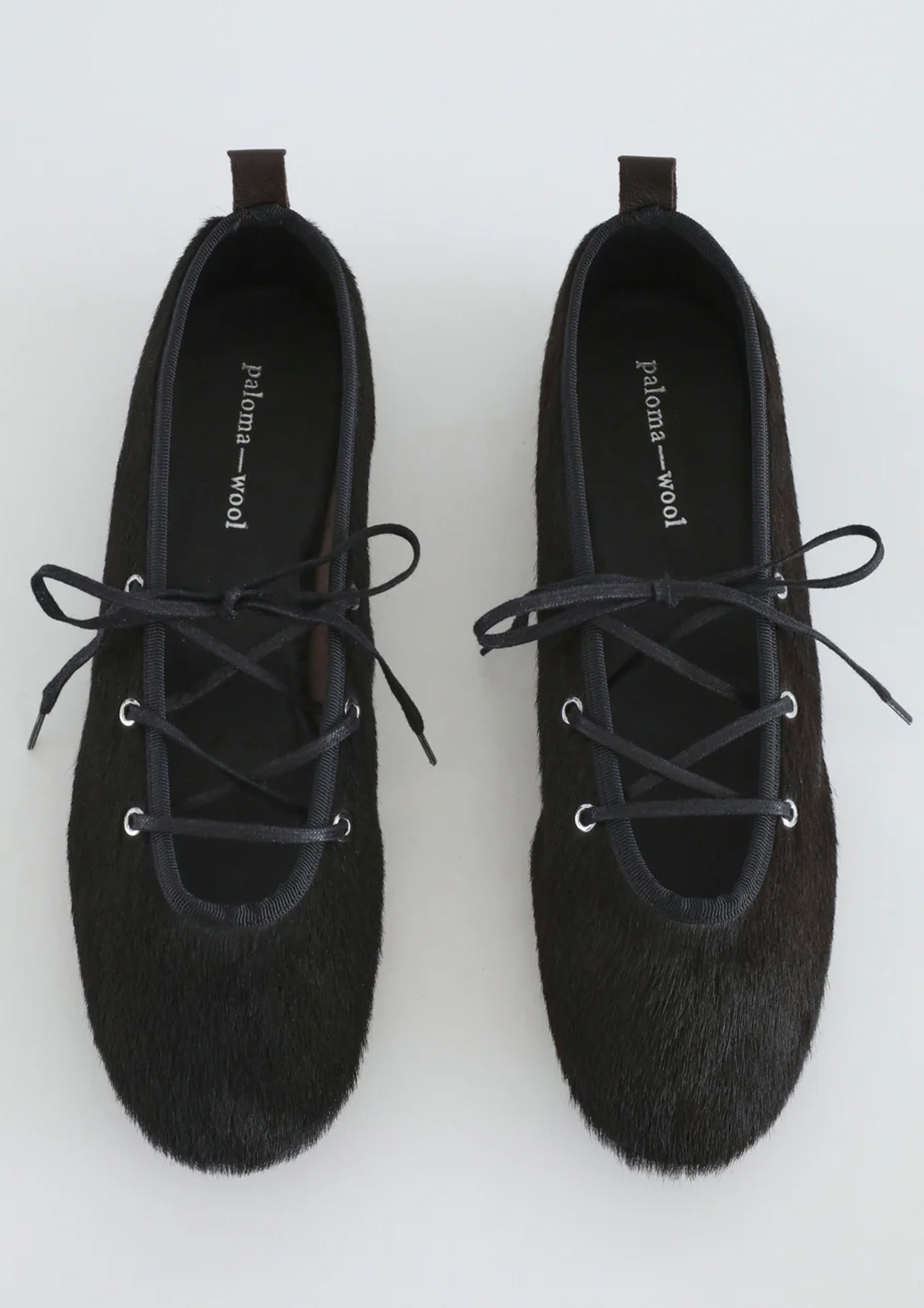 PALOMA WOOL - PINA BROWN – SOLAR MTP